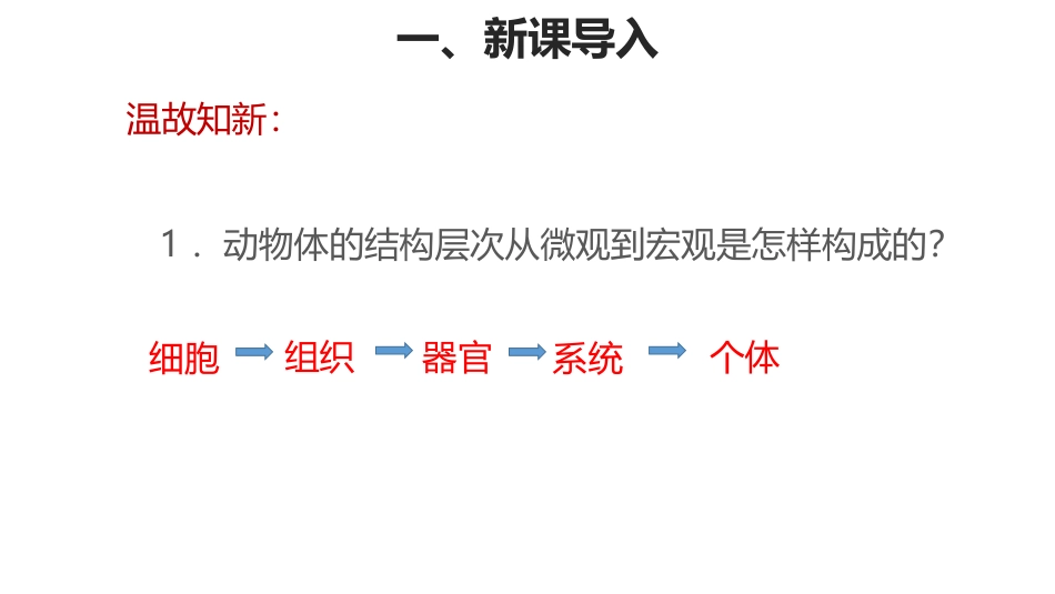《植物体的结构层次》PPT课件[人教版七年级生物上册]_第2页