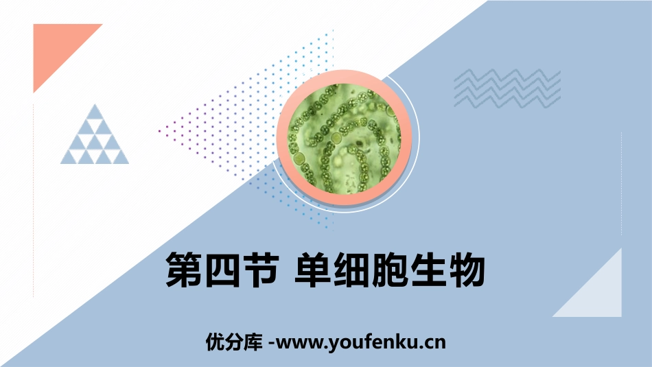 《单细胞生物》PPT课件[人教版七年级生物上册]_第1页