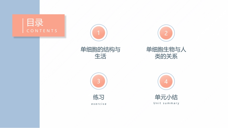 《单细胞生物》PPT课件[人教版七年级生物上册]_第2页