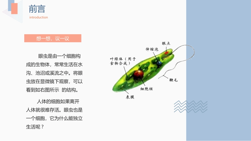 《单细胞生物》PPT课件[人教版七年级生物上册]_第3页