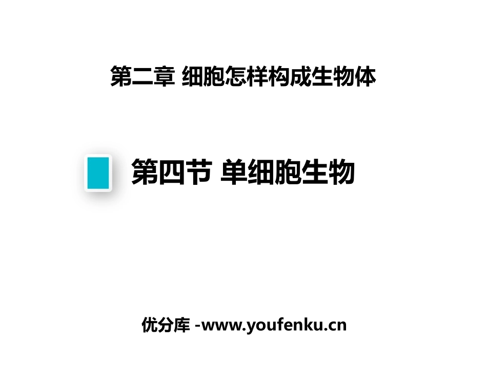 《单细胞生物》PPT免费课件[人教版七年级生物上册]_第1页