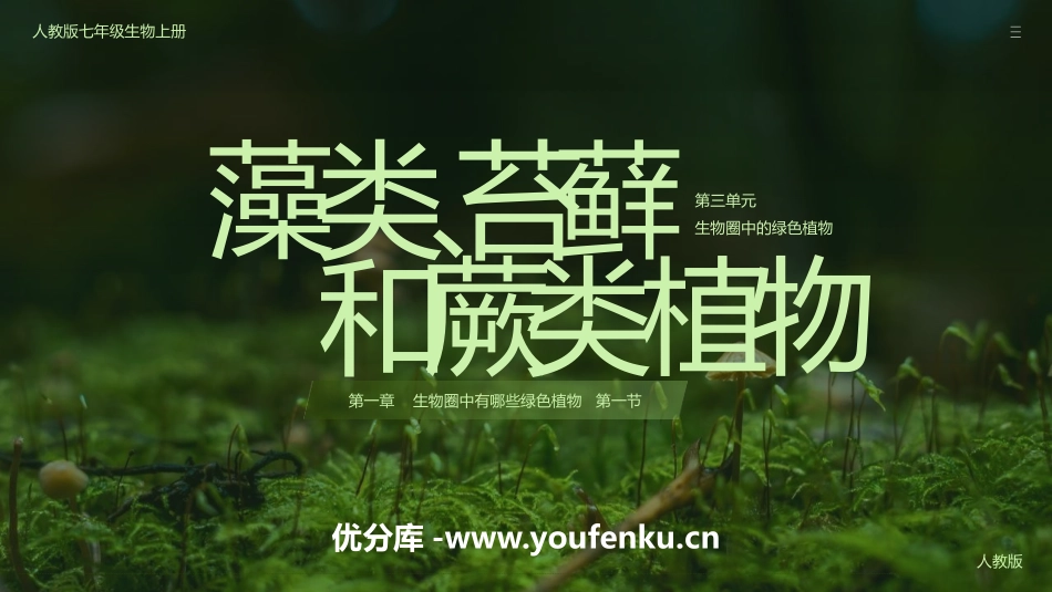 《藻类、苔藓和蕨类植物》PPT教学课件[人教版七年级生物]_第1页