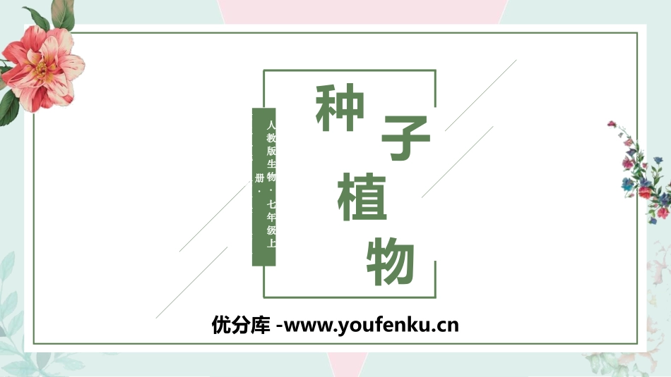《种子植物》PPT课件[人教版七年级生物上册]_第1页