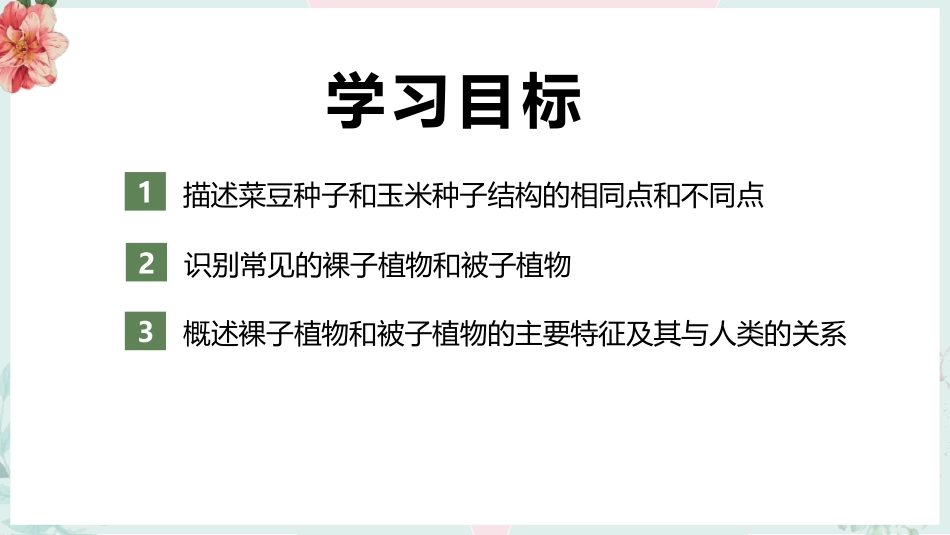 《种子植物》PPT课件[人教版七年级生物上册]_第2页