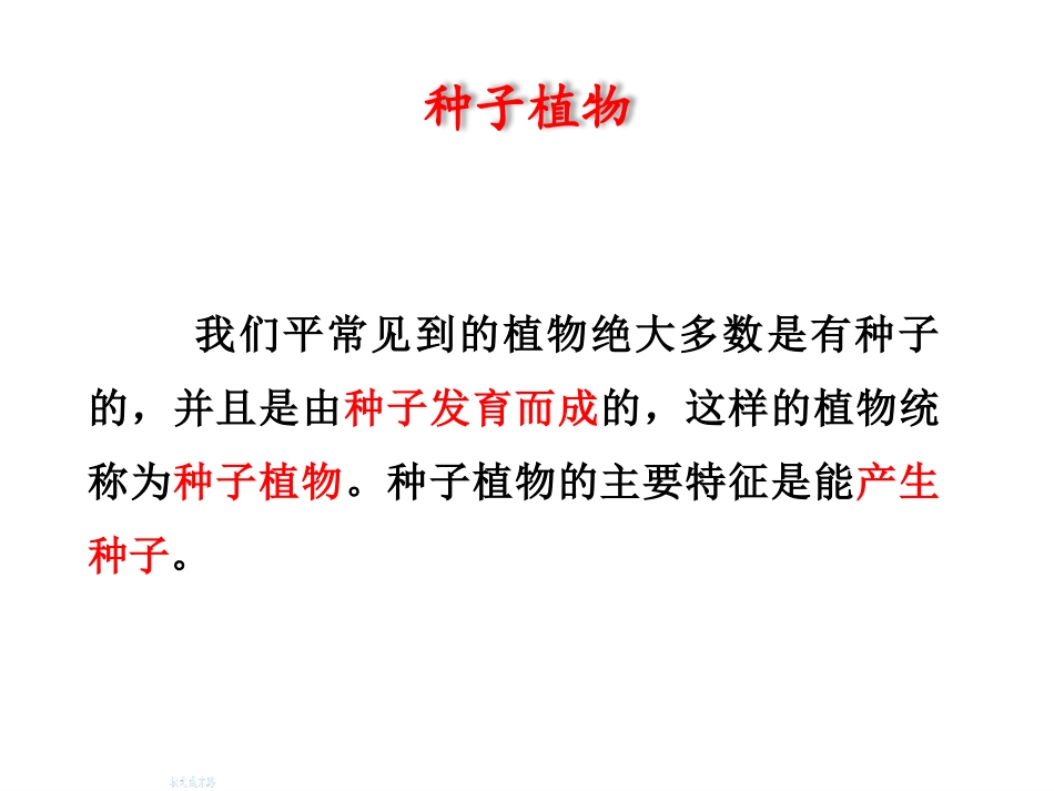 《种子植物》PPT优质课件[人教版七年级生物上册]_第3页