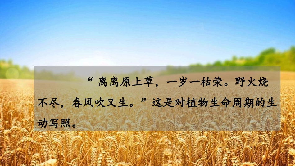 《种子的萌发》PPT课件[人教版七年级生物上册]_第2页