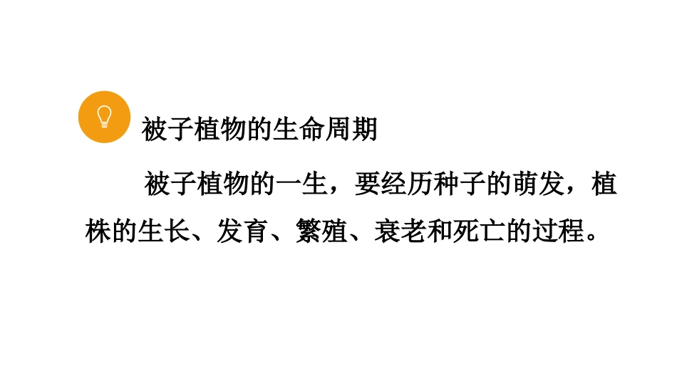 《种子的萌发》PPT课件[人教版七年级生物上册]_第3页