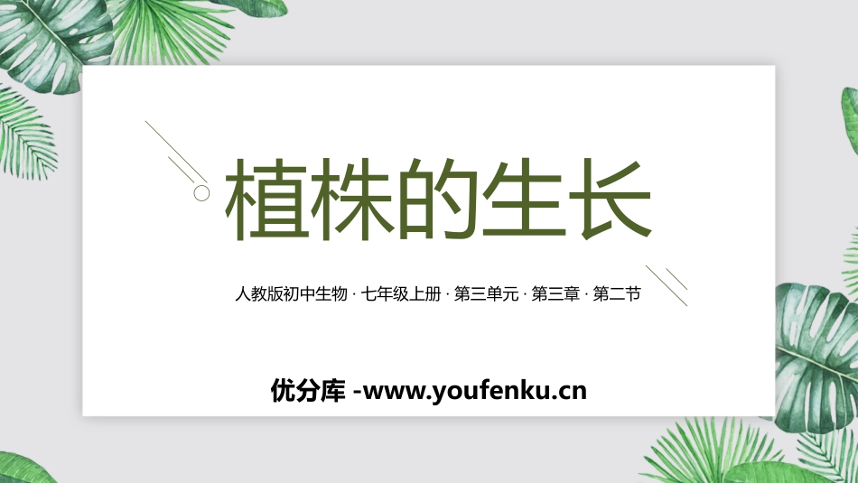 《植株的生长》PPT教学课件[人教版七年级生物上册]_第1页