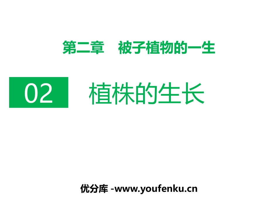 《植株的生长》PPT课件[人教版七年级生物上册]_第1页
