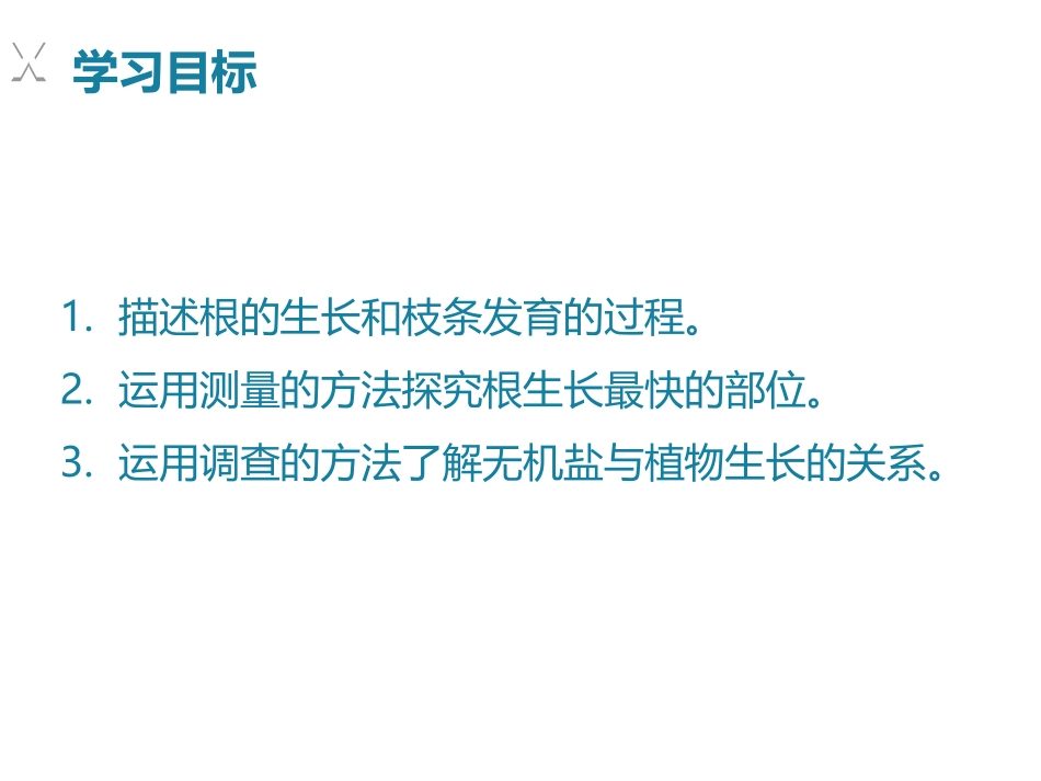 《植株的生长》PPT课件[人教版七年级生物上册]_第2页