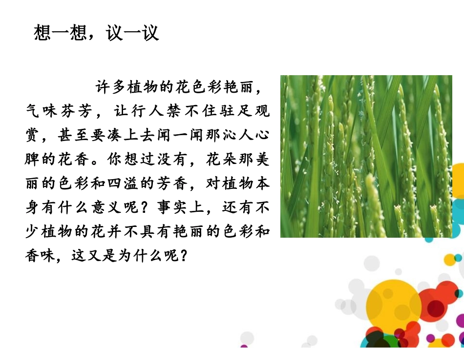 《开花和结果》PPT免费课件[人教版七年级生物上册]_第2页