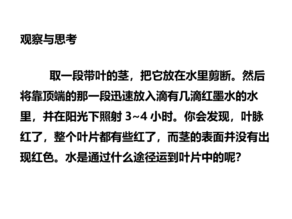 《绿色植物与生物圈的水循环》PPT教学课件[人教版七年级生物]_第3页