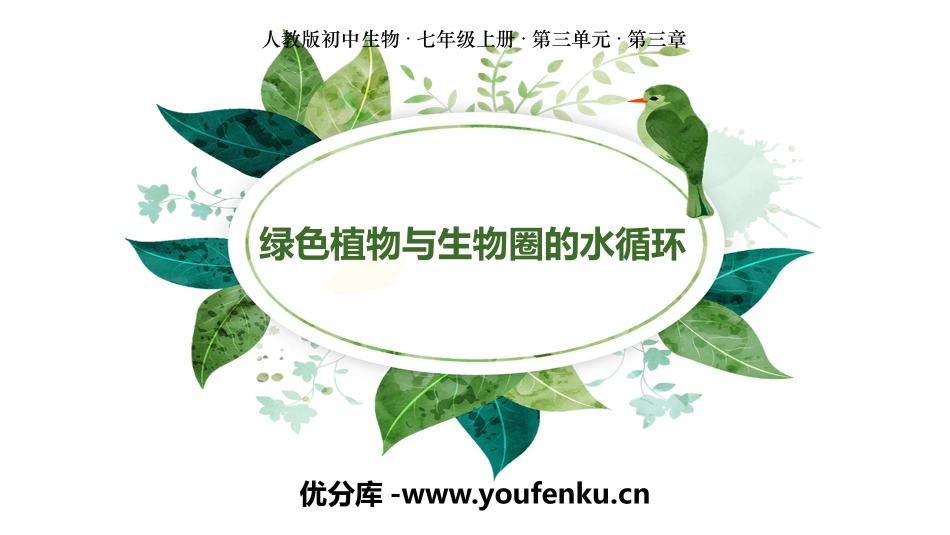 《绿色植物与生物圈的水循环》PPT免费课件[人教版七年级生物]_第1页