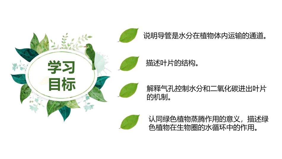 《绿色植物与生物圈的水循环》PPT免费课件[人教版七年级生物]_第2页