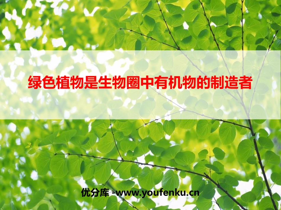 《绿色植物是生物圈中有机物的制造者》PPT课件[人教版七年级生物]_第1页