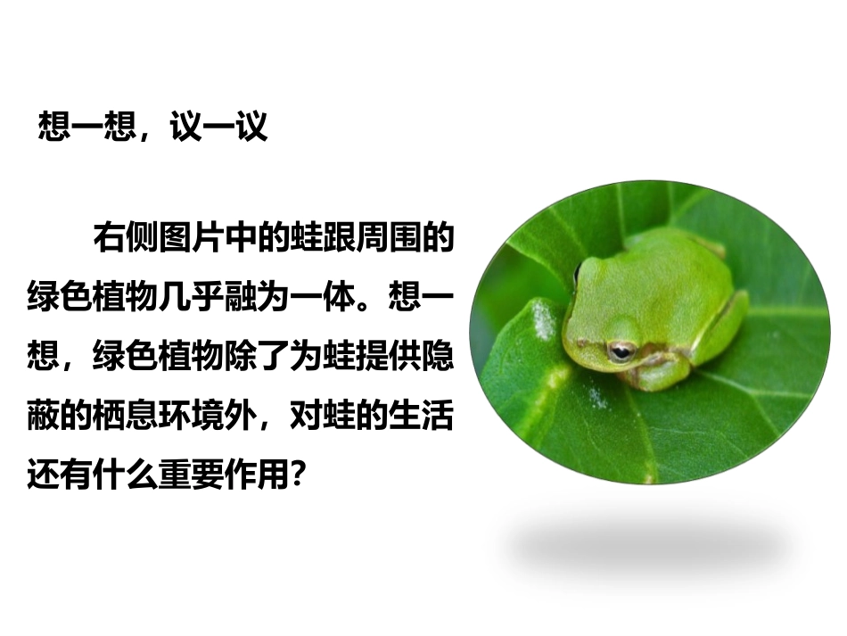 《绿色植物是生物圈中有机物的制造者》PPT课件[人教版七年级生物]_第2页