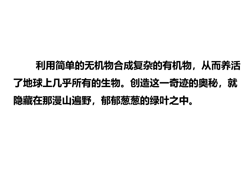 《绿色植物是生物圈中有机物的制造者》PPT课件[人教版七年级生物]_第3页