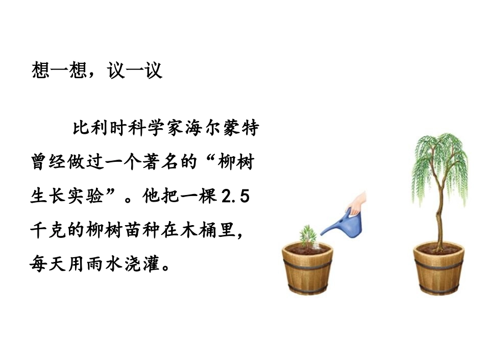 《光合作用吸收二氧化碳释放氧气》PPT教学课件[人教版七年级生物]_第3页