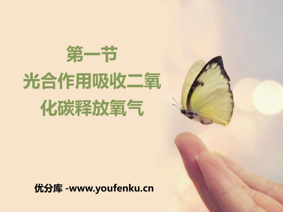 《光合作用吸收二氧化碳释放氧气》PPT课件[人教版七年级生物]_第1页