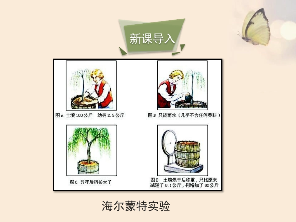 《光合作用吸收二氧化碳释放氧气》PPT课件[人教版七年级生物]_第3页