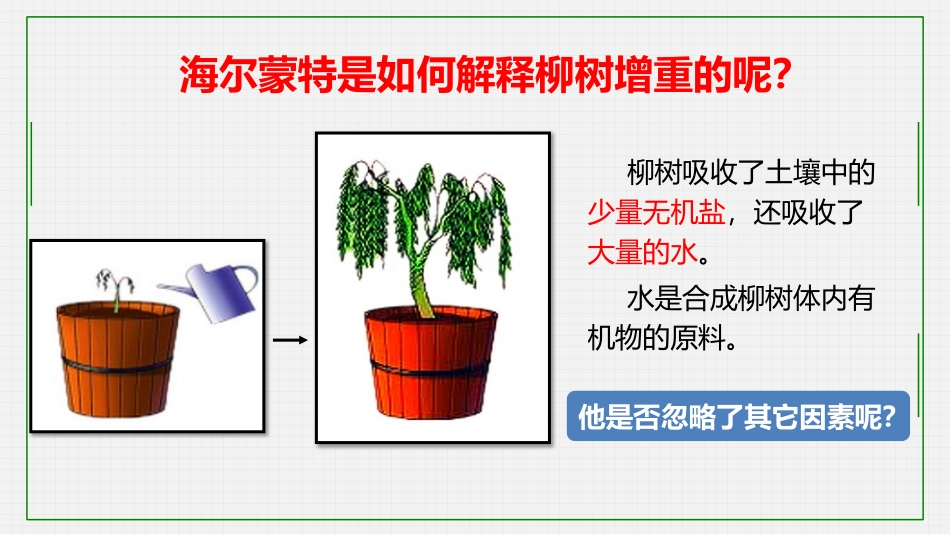 《光合作用吸收二氧化碳释放氧气》PPT免费课件[人教版七年级生物]_第3页