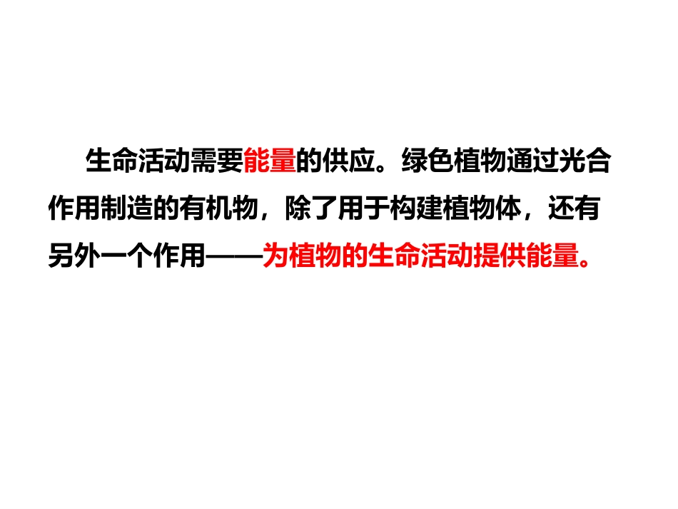 《绿色植物的呼吸作用》PPT教学课件[人教版七年级生物上册]_第2页