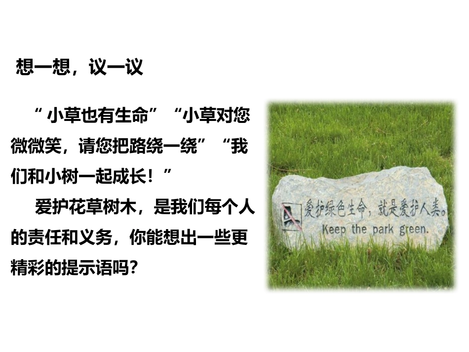 《爱护植被,绿化祖国》PPT教学课件[人教版七年级生物上册]_第2页