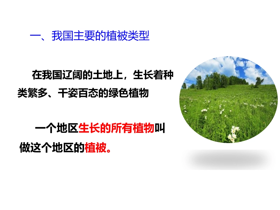 《爱护植被,绿化祖国》PPT教学课件[人教版七年级生物上册]_第3页