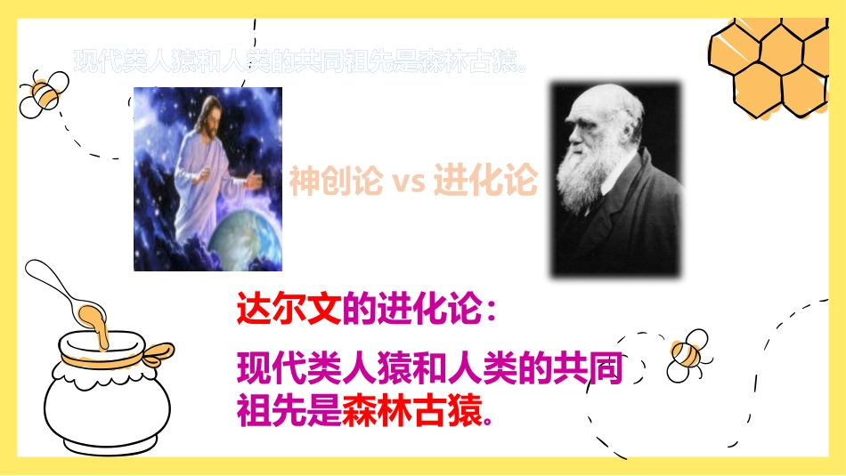 《人类的起源和发展》PPT免费课件[人教版七年级生物下册]_第3页
