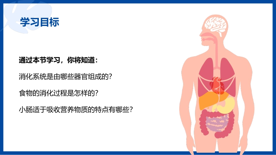 《消化和吸收》PPT教学课件[人教版七年级生物下册]_第2页