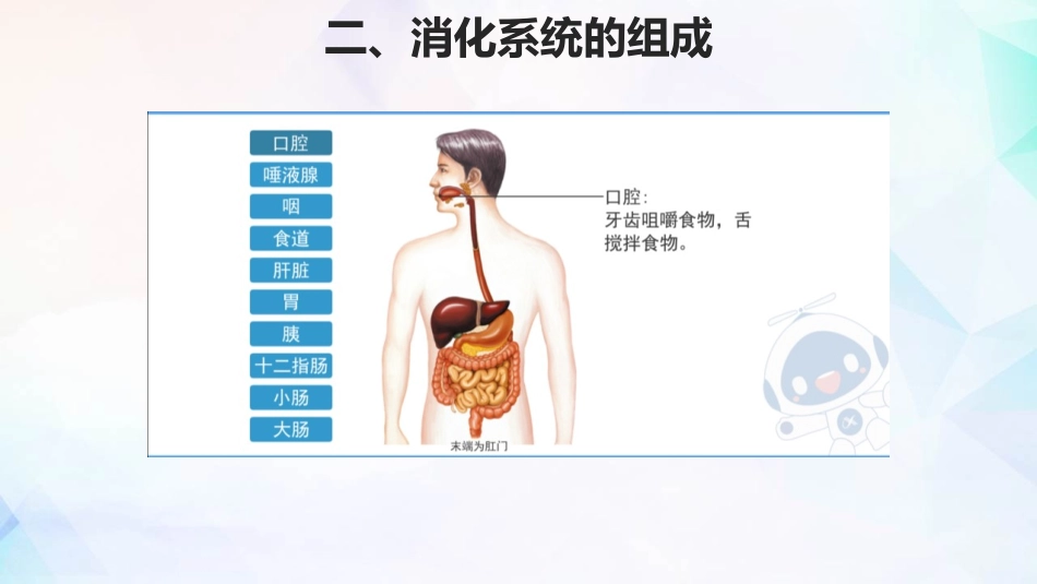 《消化和吸收》PPT课件(第1课时)[人教版七年级生物下册]_第3页