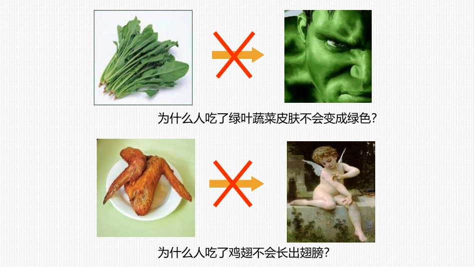 《消化和吸收》PPT课件[人教版七年级生物下册]_第1页