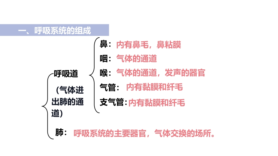 《呼吸道对空气的处理》PPT课件[人教版七年级生物下册]_第2页