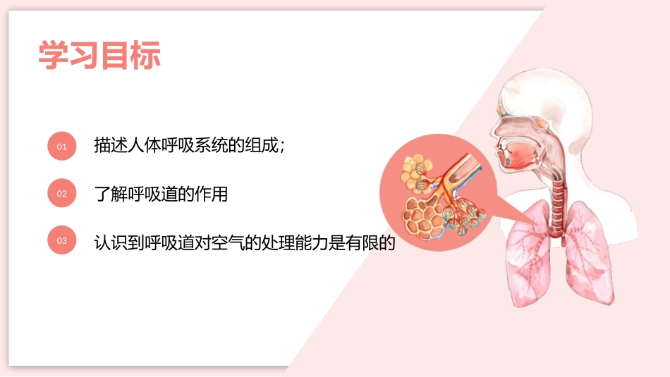 《呼吸道对空气的处理》PPT优质课件[人教版七年级生物下册]_第2页