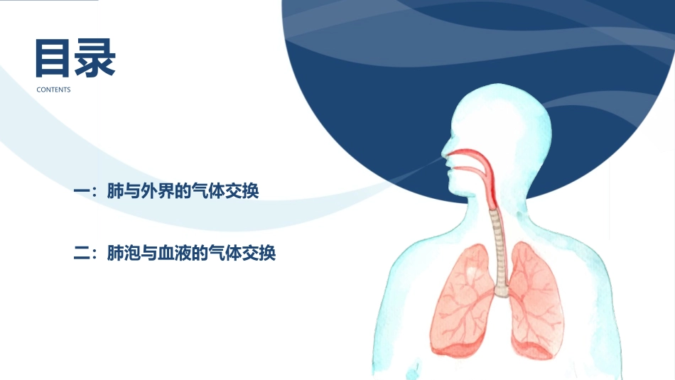 《发生在肺内的气体交换》PPT教学课件[人教版七年级生物]_第2页