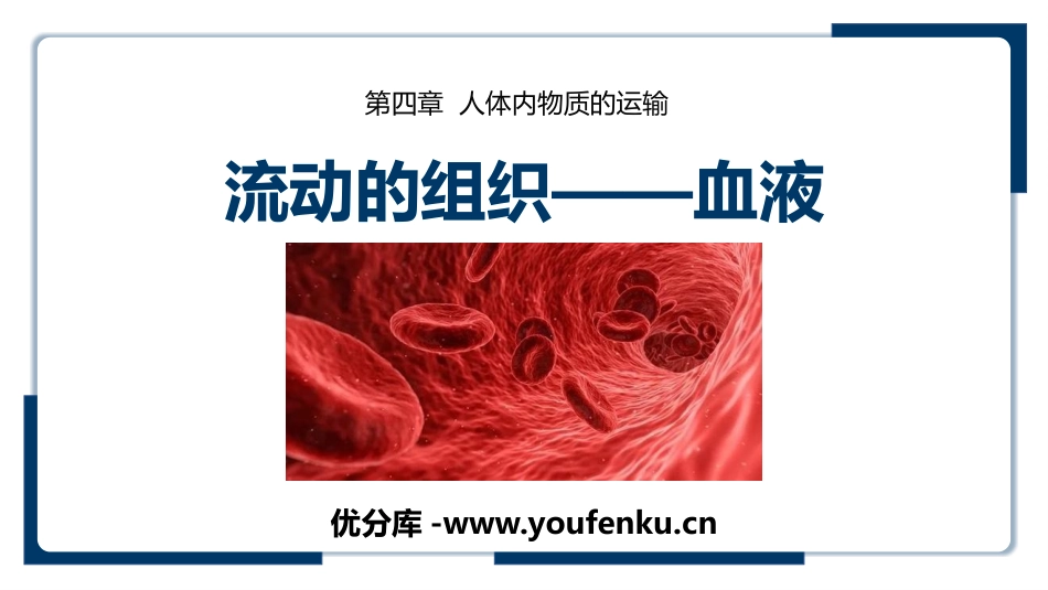 《流动的组织-血液》PPT教学课件[人教版七年级生物下册]_第1页