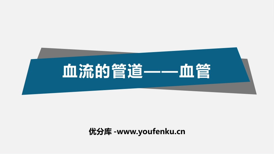 《血流的管道-血管》PPT课件[人教版七年级生物下册]_第1页