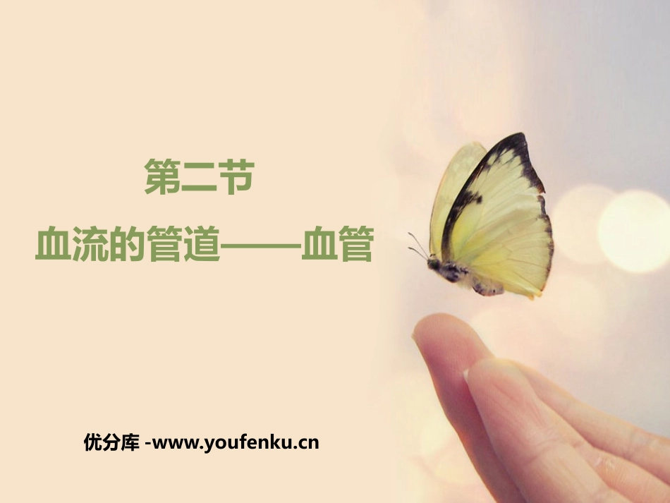 《血流的管道-血管》PPT优质课件[人教版七年级生物下册]_第1页