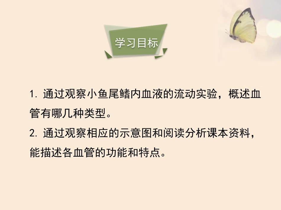 《血流的管道-血管》PPT优质课件[人教版七年级生物下册]_第2页