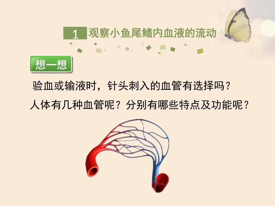 《血流的管道-血管》PPT优质课件[人教版七年级生物下册]_第3页