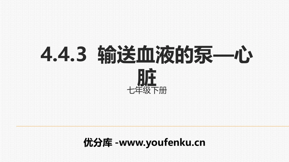 《输送血液的泵-心脏》PPT课件[人教版七年级生物下册]_第1页