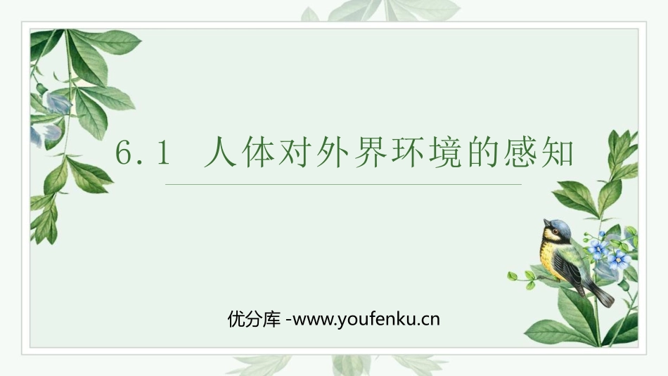 《人体对外界环境的感知》PPT教学课件[人教版七年级生物]_第1页