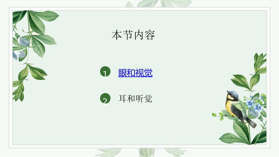 《人体对外界环境的感知》PPT教学课件[人教版七年级生物]_第3页
