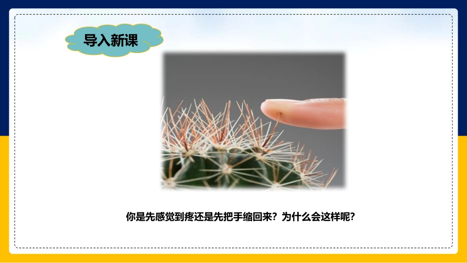 《神经调节的基本方式》PPT教学课件[人教版七年级生物下册]_第2页
