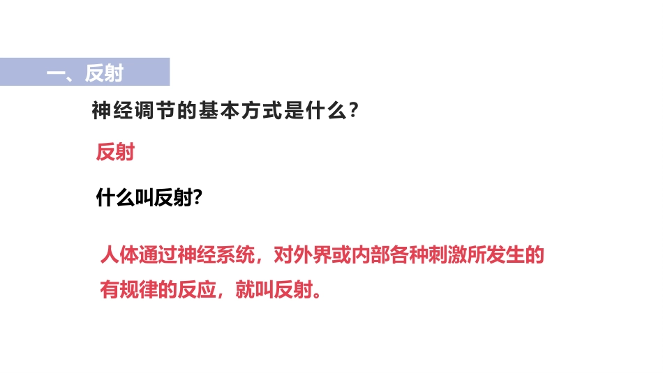 《神经调节的基本方式》PPT课件[人教版七年级生物下册]_第2页
