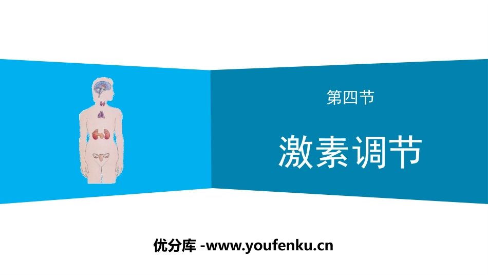 《激素调节》PPT免费课件[人教版七年级生物下册]_第1页