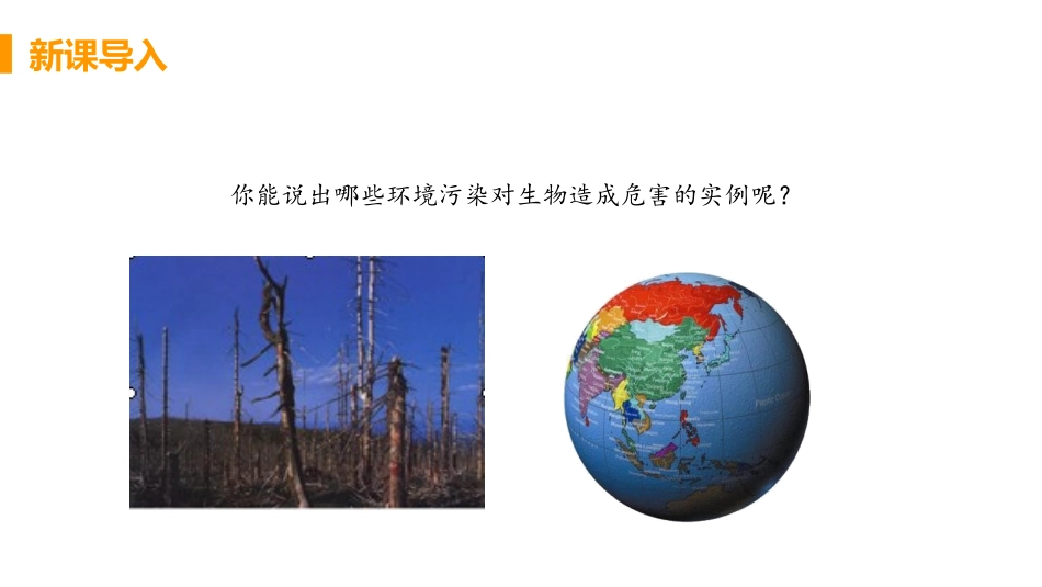 《探究环境污染对生物的影响》PPT教学课件[人教版七年级生物]_第2页