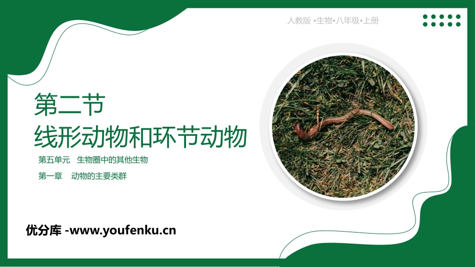 《线形动物和环节动物》PPT教学课件[人教版八年级生物上册]_第1页