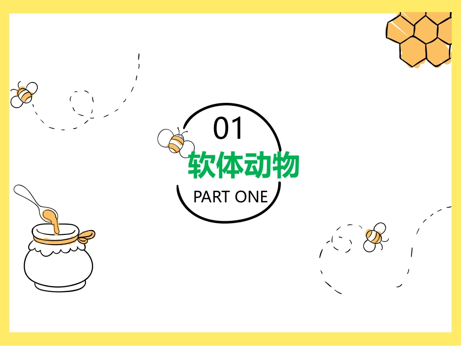 《软体动物和节肢动物》PPT教学课件[人教版八年级生物上册]_第3页
