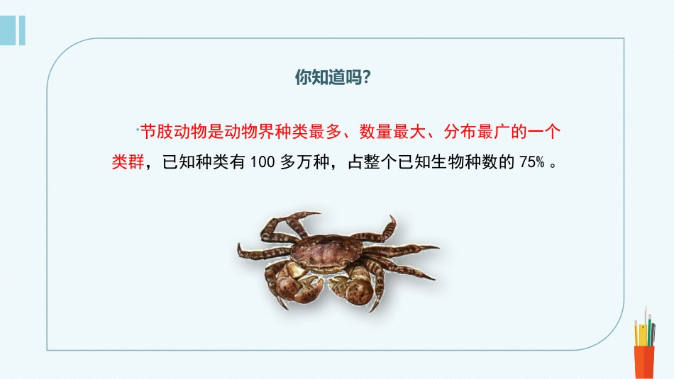 《软体动物和节肢动物》PPT课件(第2课时)[人教版八年级生物]_第2页